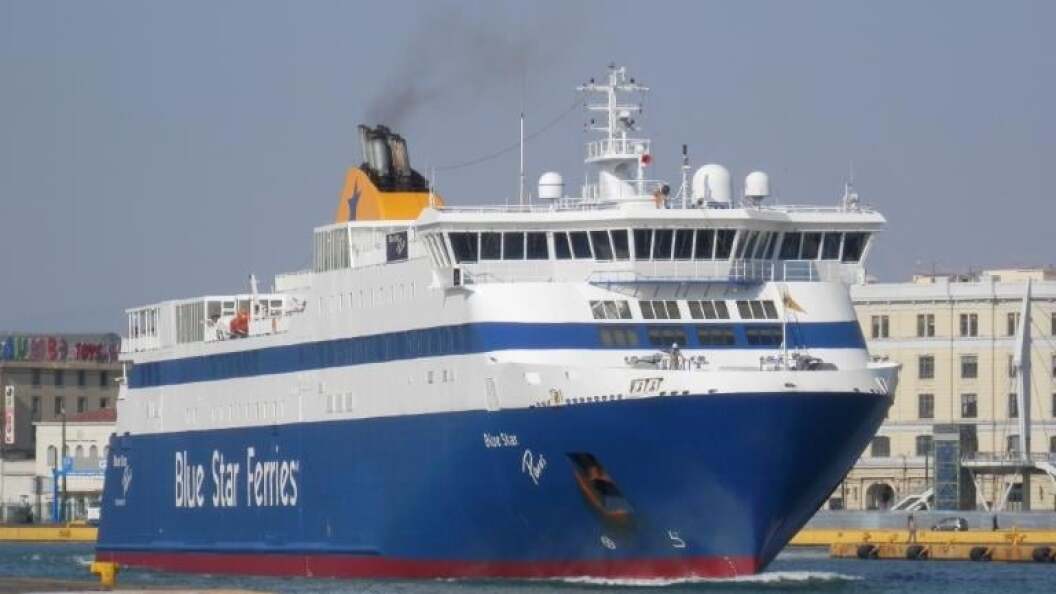 22615504