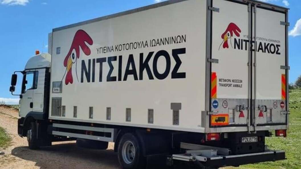 22733033