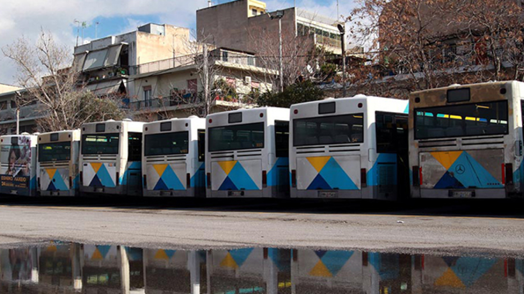 buses