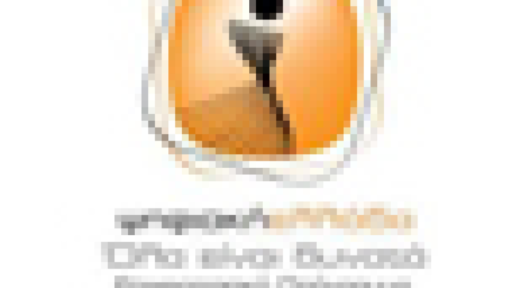 digiral_conv2_s