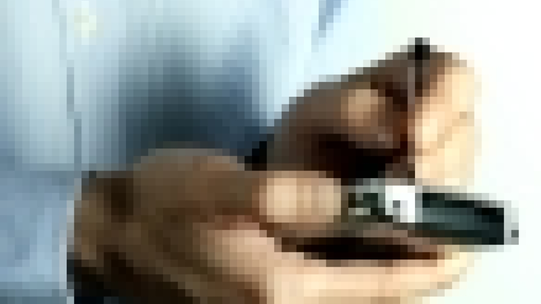 mobile2