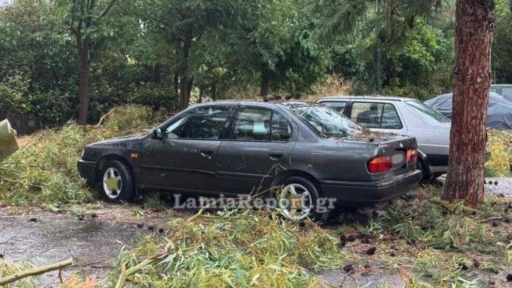 22579868
