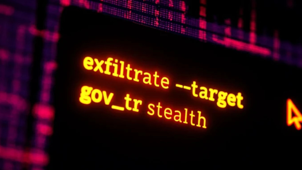 22585019