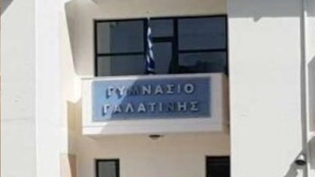 22591161