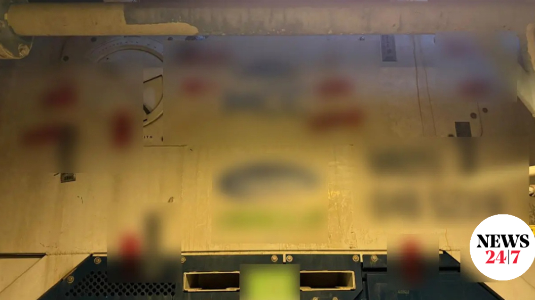 22606731