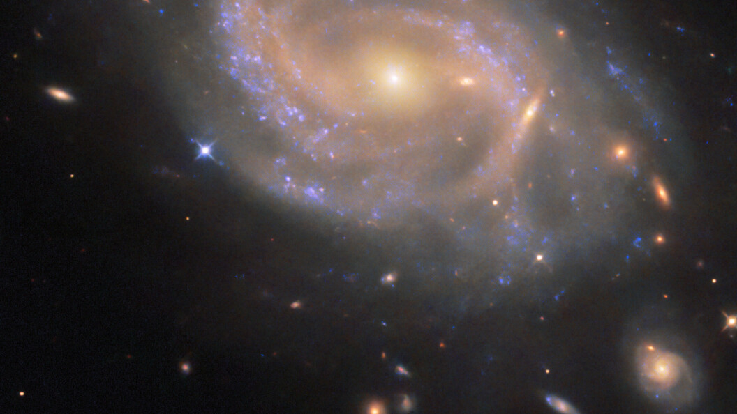 22609148