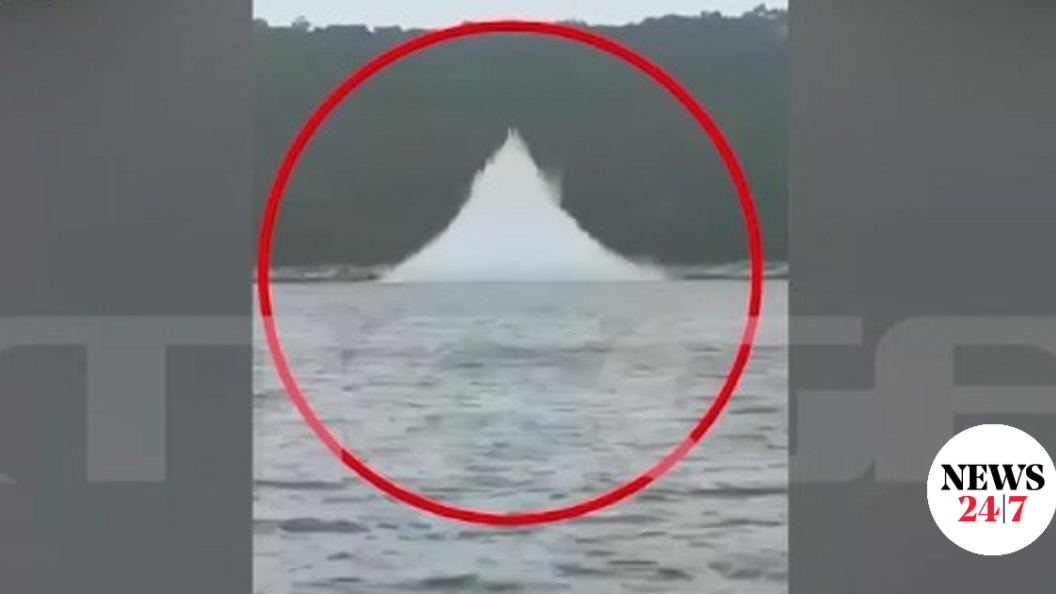 22724165