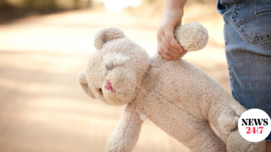 22730424