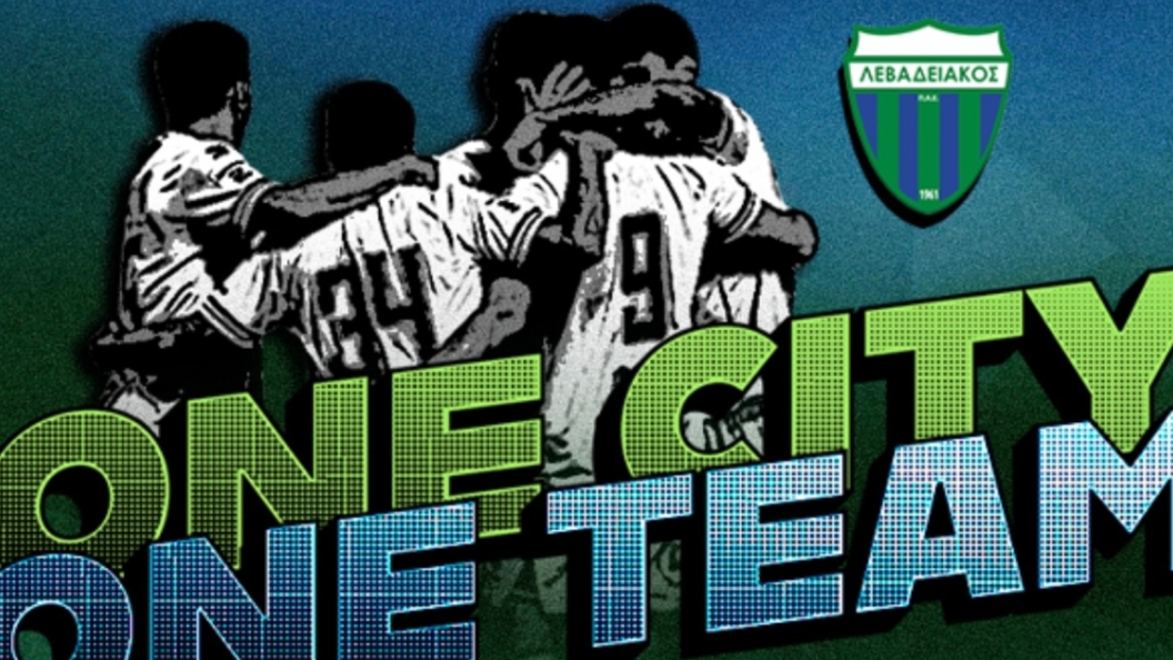 22731833