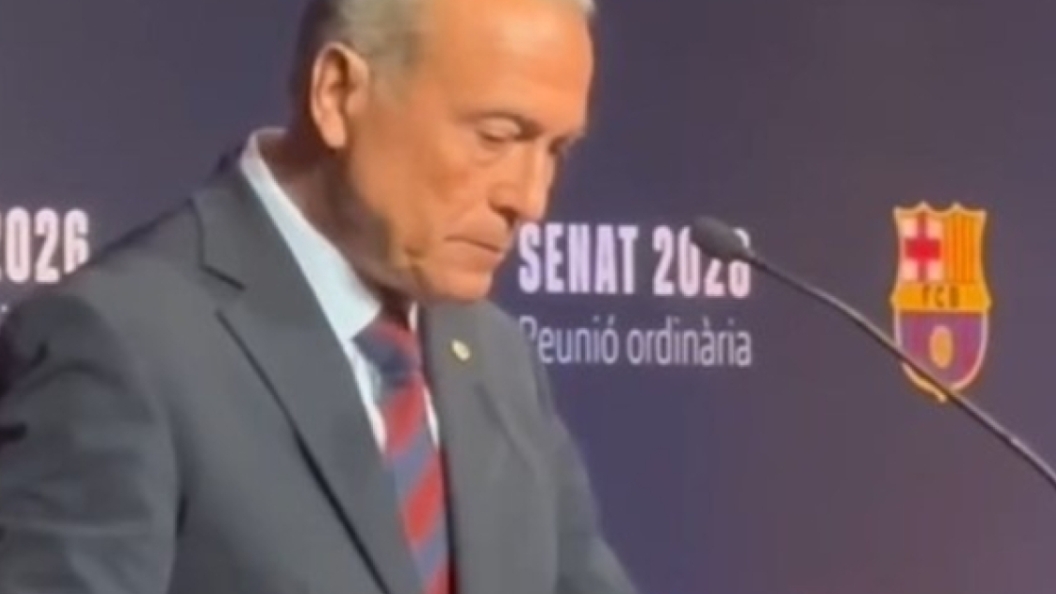 22735954