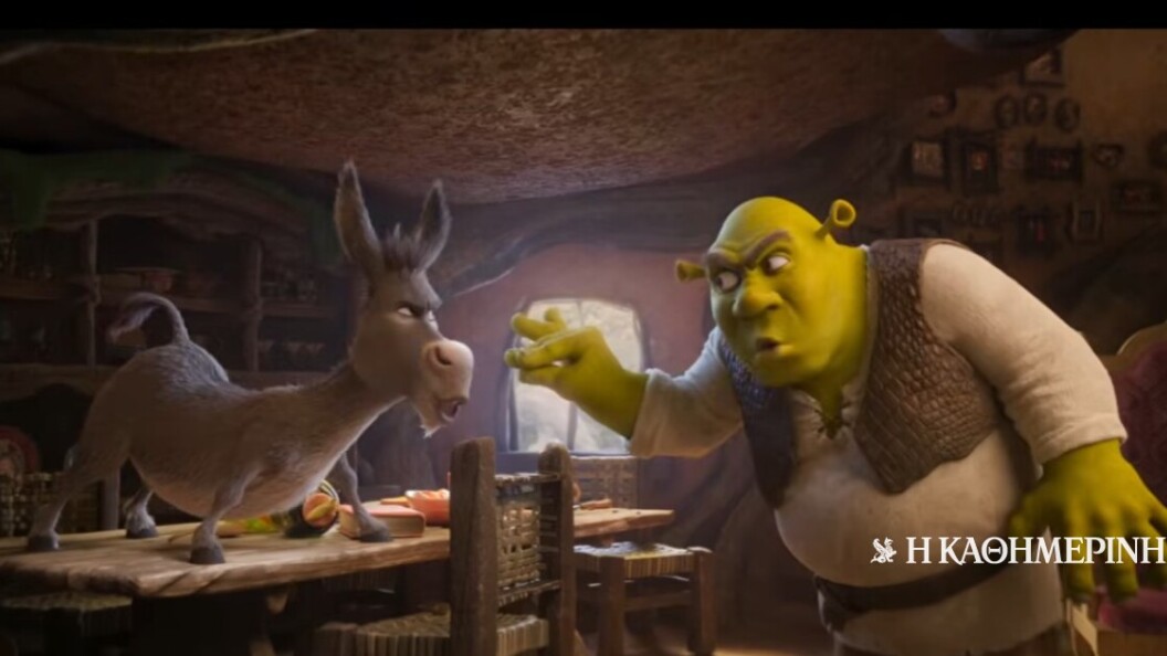 22739107