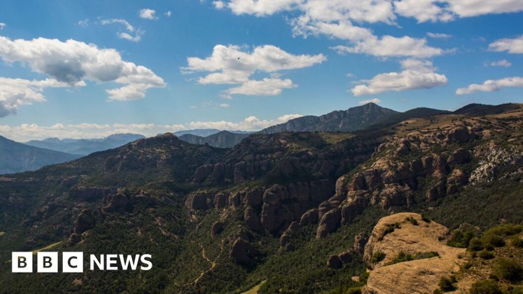 22739853