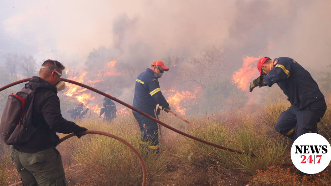 22762664