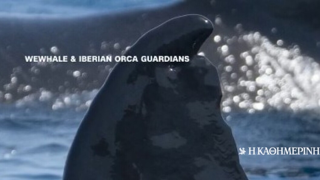 22764130