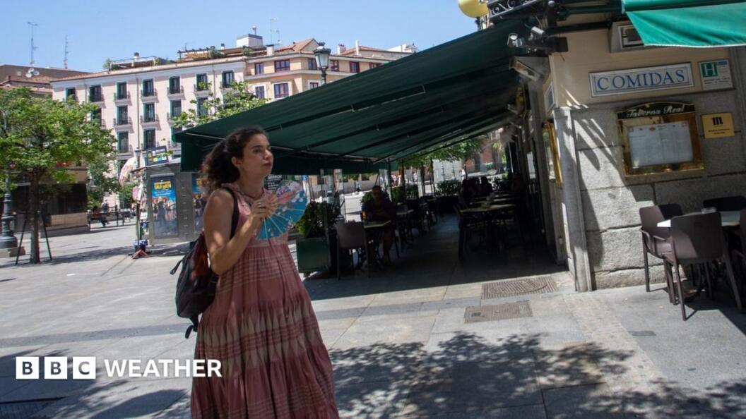 22770320