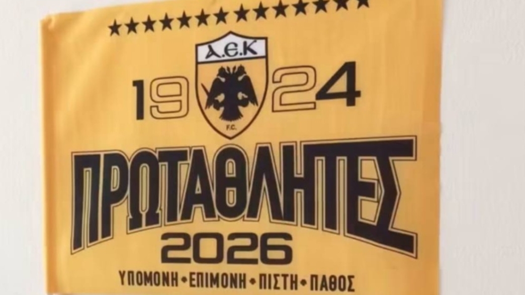 22773311
