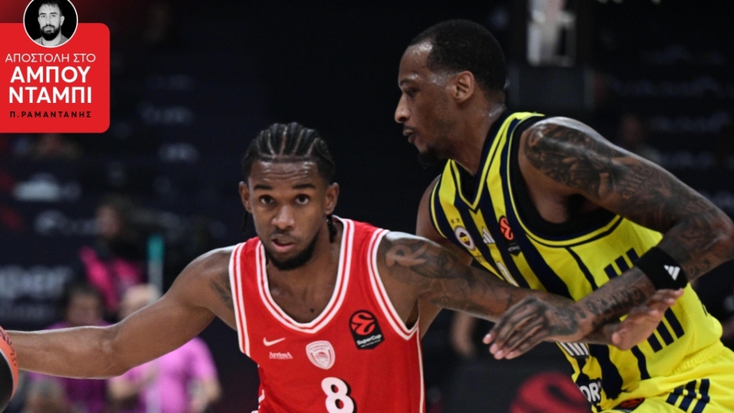22776031
