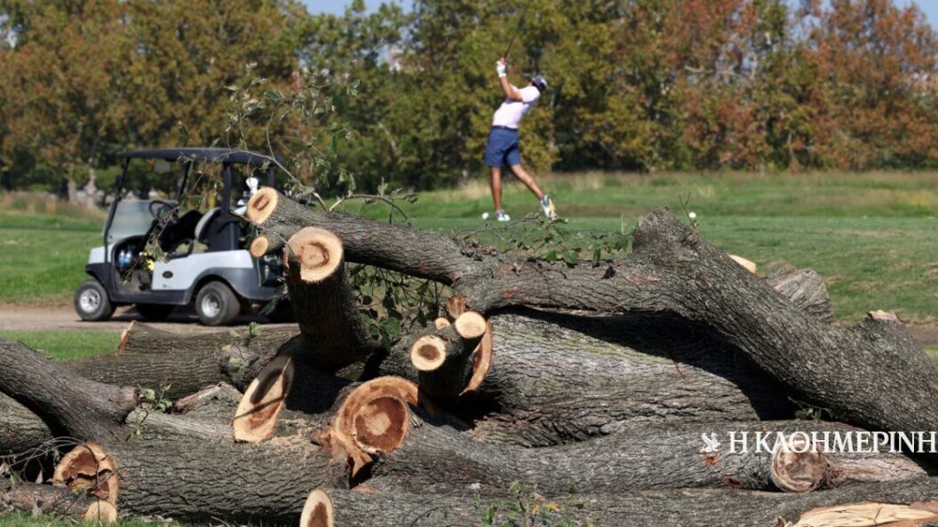 22788130