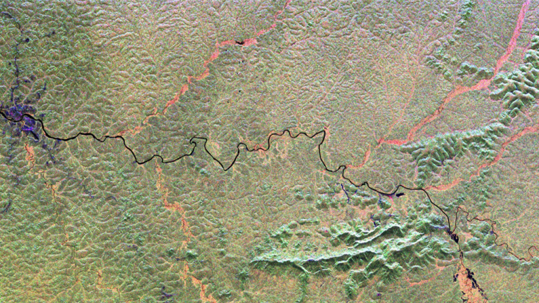 22596204