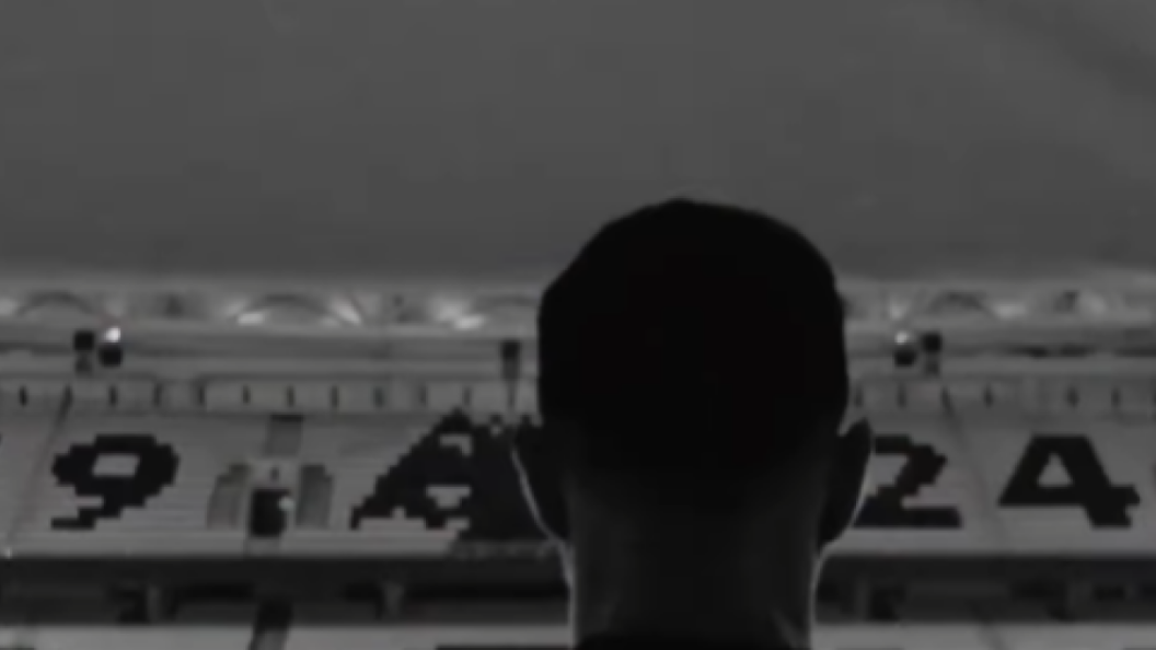 22604794