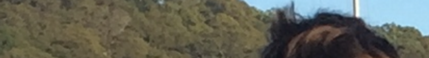 22752892