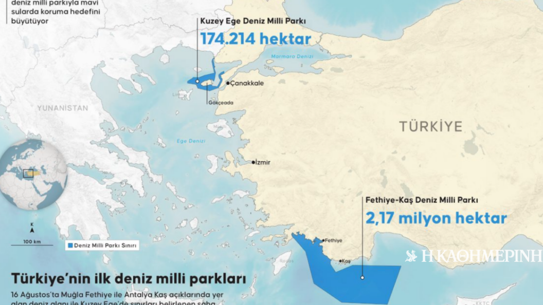 22766524