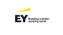 ERNST & YOUNG BUSINESS ADVISORY SOLUTIONS