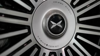 22726981