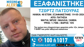 22728175
