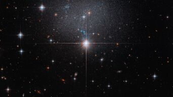 22731849
