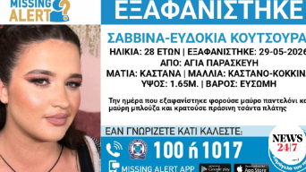 22732329