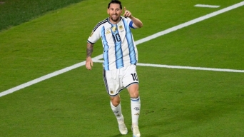 22739403