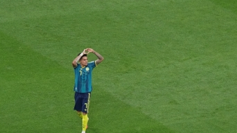 22739617