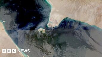 22753862
