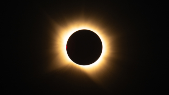 22761816