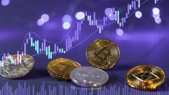 22765950