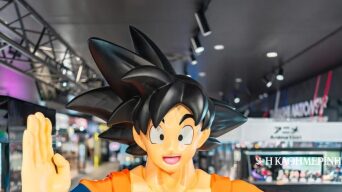 22766288