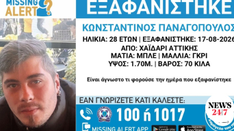 22772498