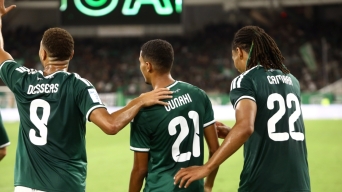 22773747