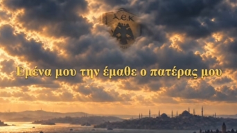 22773916