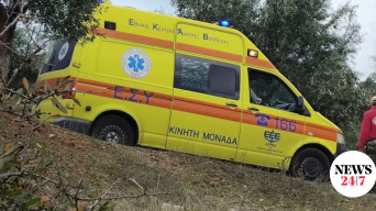 22776102