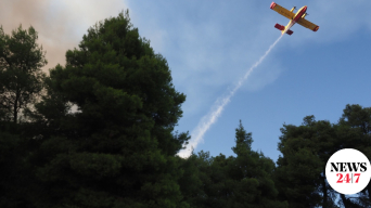 22776950