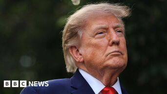 22777617