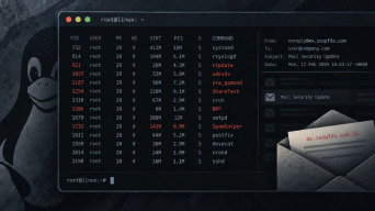 22783194