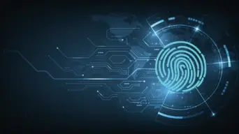 22776364