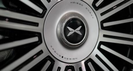 22726981
